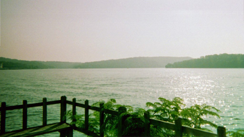 Boats on Lake of the Ozarks